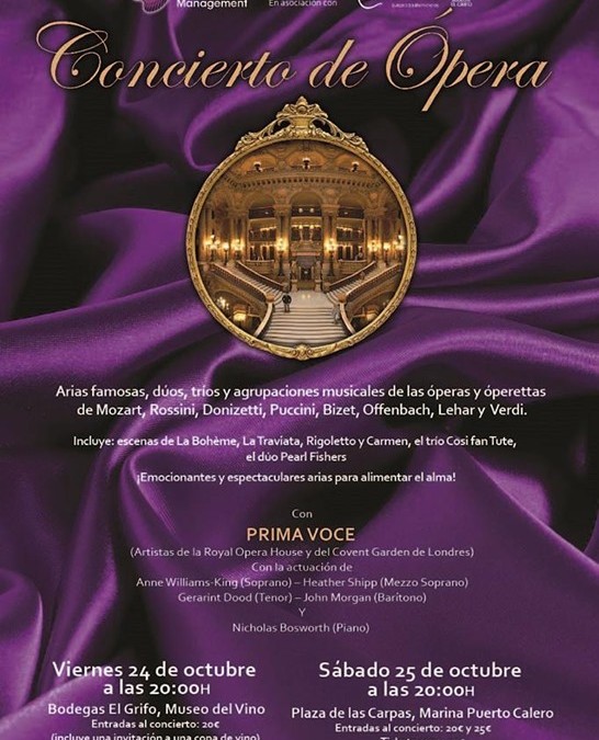 Gala Opera & Operetta Concerts