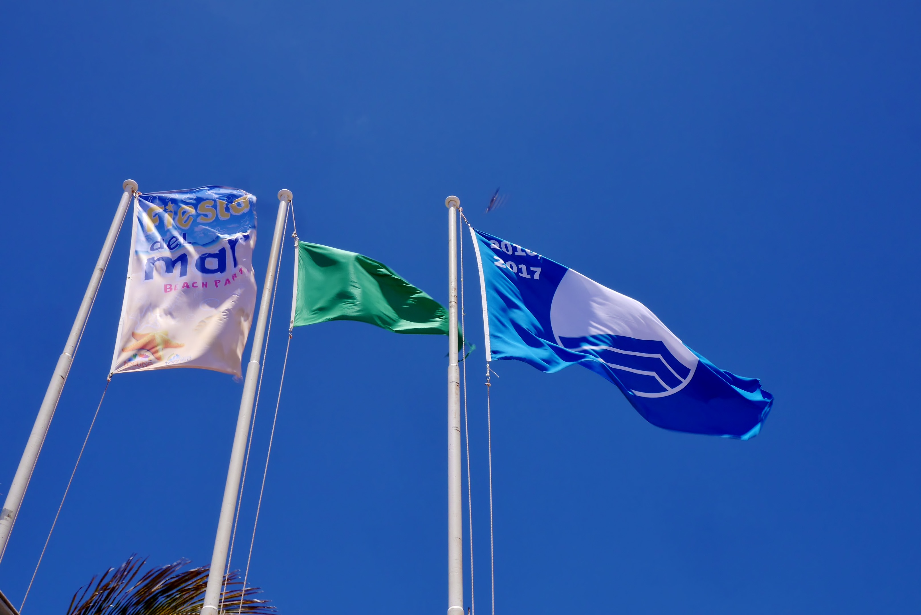 Fiesta del Mar and Blue Flag