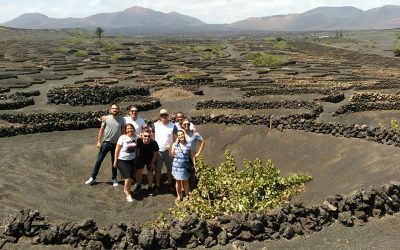 Five ‘influencers’ fall in love with Lanzarote