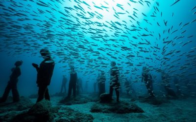 Atlantic Museum, a year of life exceeding expectations