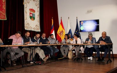 Yaiza awards six new taxi licenses