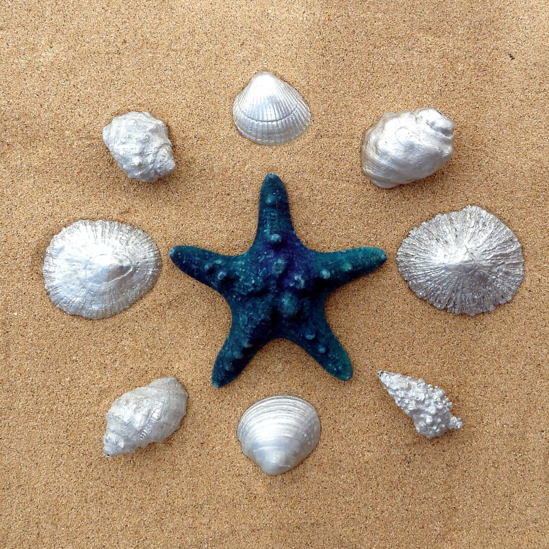 Silver Shells Lanzarote