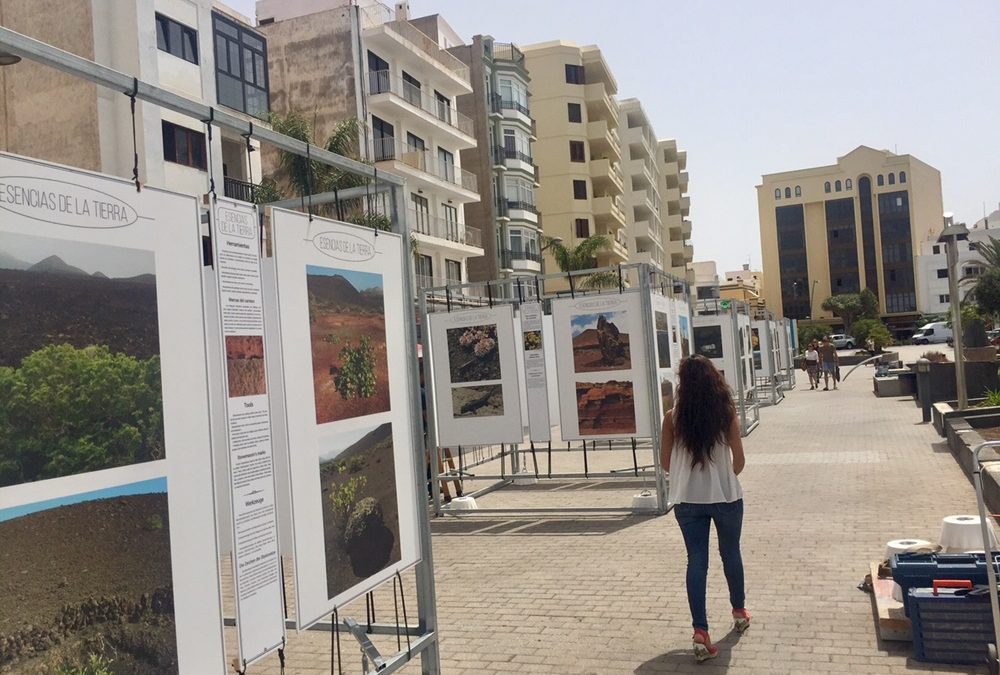 The avenue of Arrecife hosts the exhibition “Esencias de la tierra”