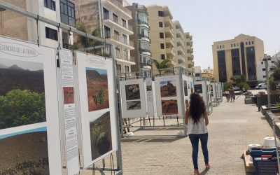 The avenue of Arrecife hosts the exhibition “Esencias de la tierra”