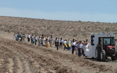 A little more fresh for the pilgrimage