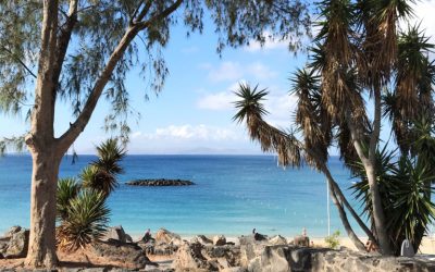 LANZAROTE: NOT SO GROTTY!