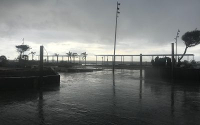 The rain has arrived!