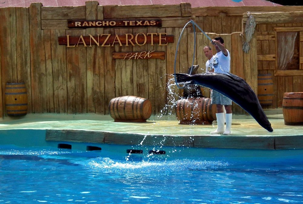 Rancho Texas Lanzarote Park celebrates the Canary Islands Day