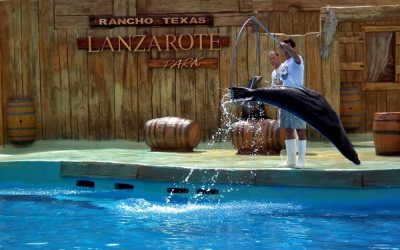 Rancho Texas Lanzarote Park celebrates the Canary Islands Day