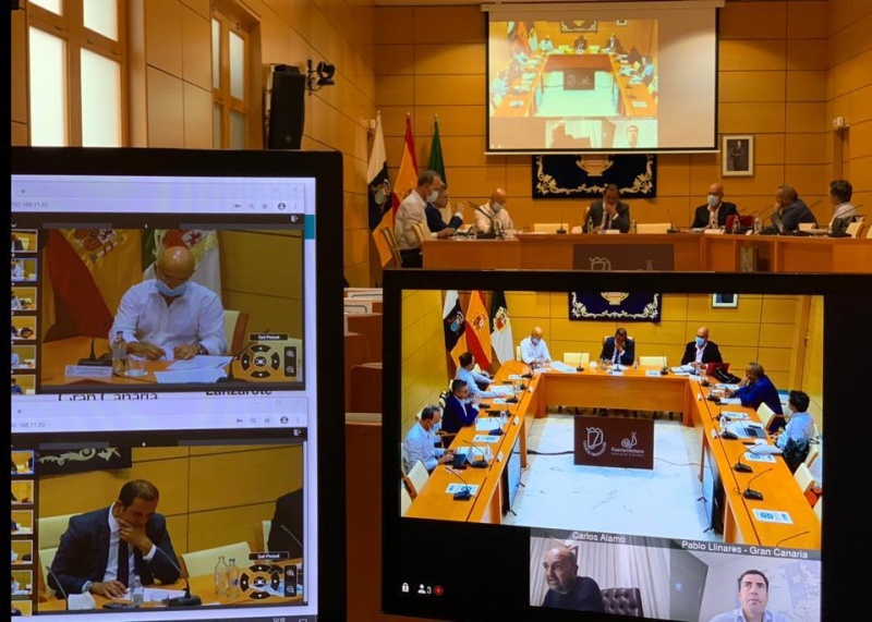The Cabildos de Canarias coordinate measures in tourism in the face of Covid-19