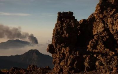 La Palma Update